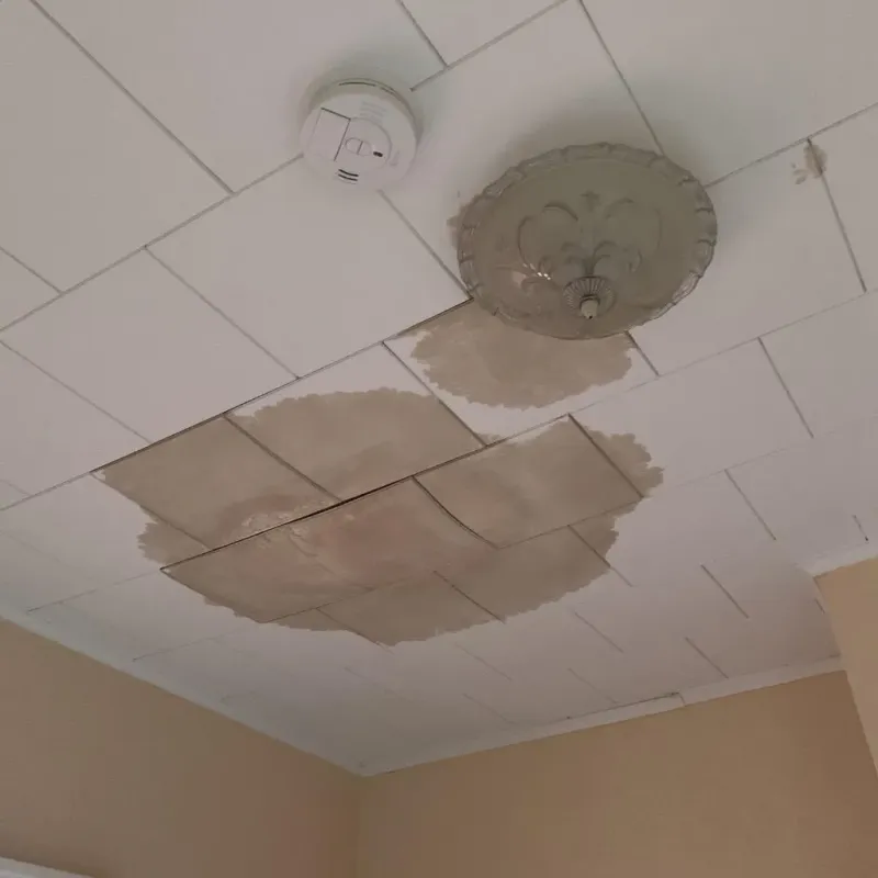 Ceiling Water Damage Repair in Rocky Mount, VA