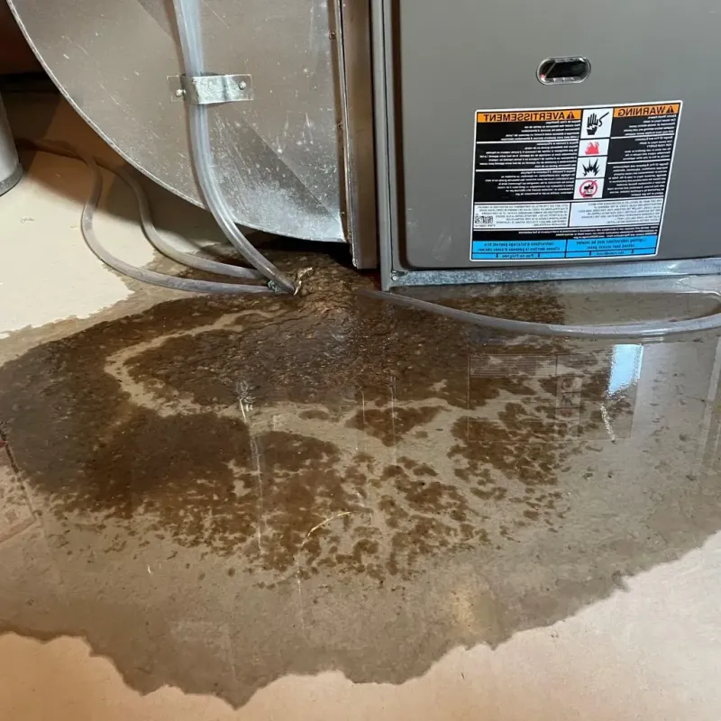 Pipe Burst and Leak Restoration in Rocky Mount, VA